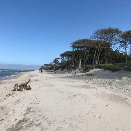 „seaside“-strandnah! Apartment *