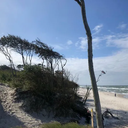 „seaside“-strandnah! Prerow